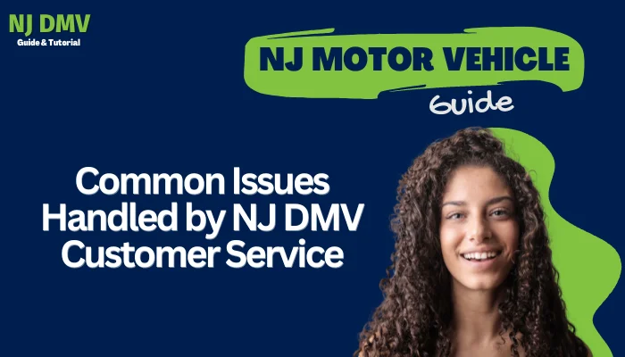 Common Issues Handled by NJ DMV Customer Service